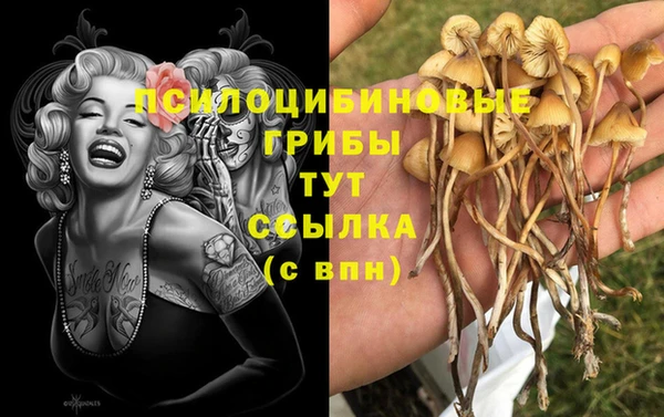 первитин Приозерск