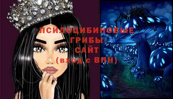 хмурый Протвино