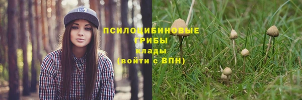 марки lsd Нефтекумск
