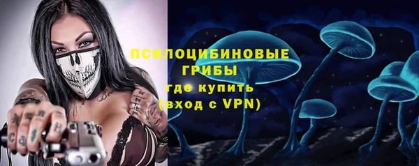 хмурый Протвино